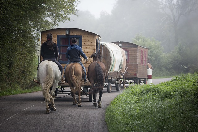 Unterwegs mit dem Tiny House, SUV oder Pferdestärken?