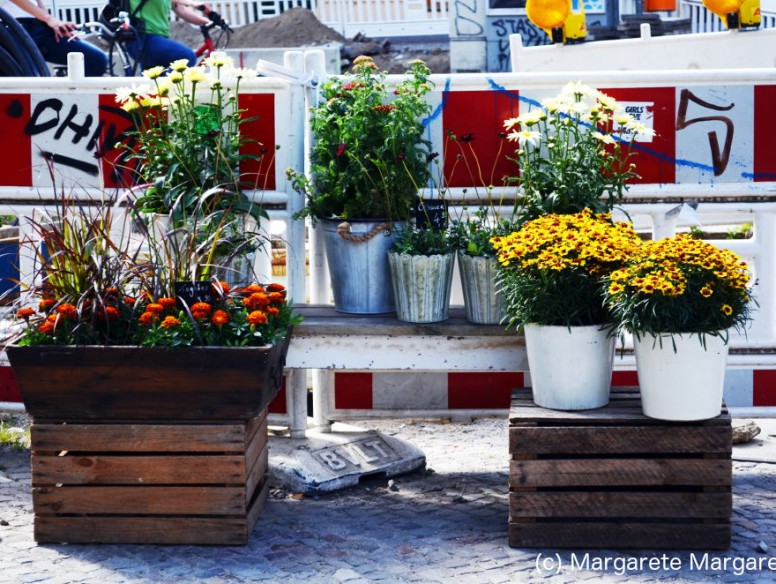 prenzlauerberg_sommer_5